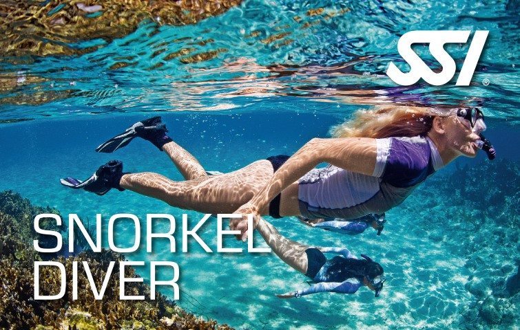 Deep Blue Scuba SSI Snorkel Diver | Deep Blue Scuba | SSI Snorkel Diver | Scuba Schools International | Snorkel Diver
