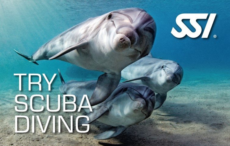 Deep Blue Scuba Try Scuba Diving
