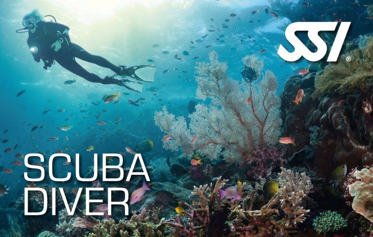Deep Blue Scuba - Scuba Diver