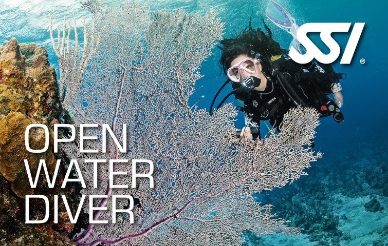 Deep Blue Scuba - Open Water Diver