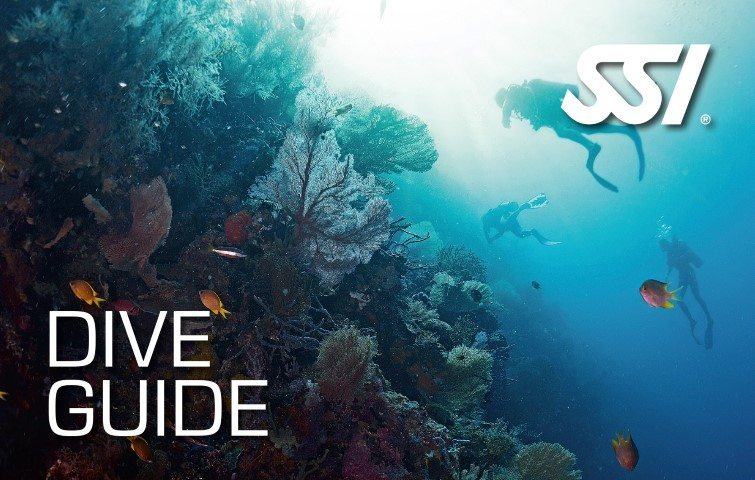 Deep Blue Scuba - Dive Guide