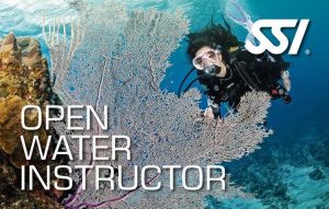 Deep Blue Scuba - Open Water Instructor