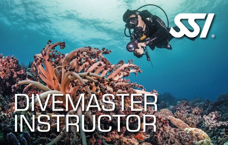 Deep Blue Scuba - Divemaster Instructor