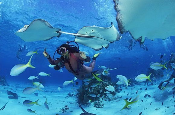 Tioman Islands | Scuba Trips | Deep Blue Scuba | Scuba Diving | Scuba